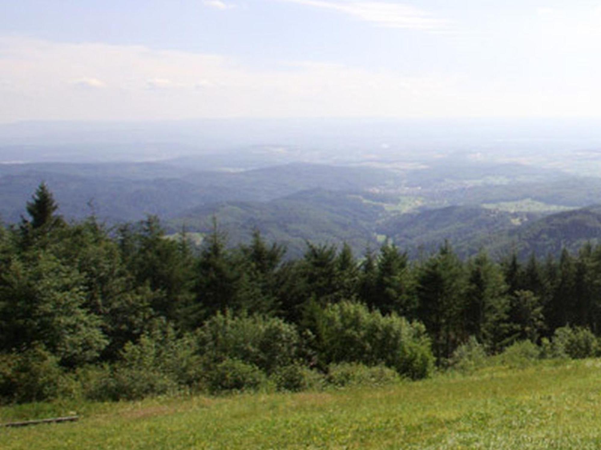 Haus Burgblick Leilighet Badenweiler Eksteriør bilde